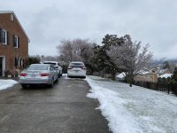 IMG_1683.jpg