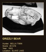 Bella Twin grizzly skull, 1953, 2.jpg