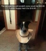 Image 3.jpeg