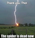 Thor and the spider .jpeg