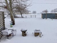 IMG_2502.jpg