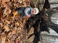 IMG_20250112_103925.jpg