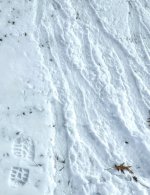 tracks3.jpg