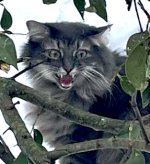 IMG_3854.jpeg