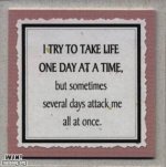 epic-fail-photos-win-true-facts-win2.jpg