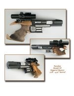 Pardini SP comp.jpg