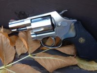 SW60-9.jpg