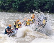img008.jpg