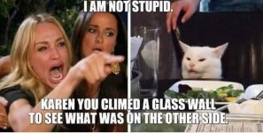 karen glass wall.jpg