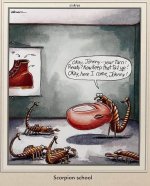 scorpion school.jpg