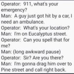 pine street.jpg