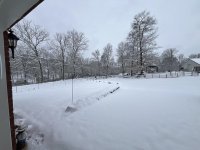 IMG_0572.jpg