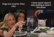 smudge sled.jpg