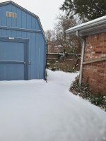 Jan2025Snow5.jpg