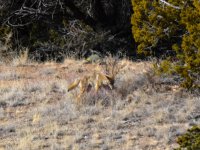 IMG_2349.jpg