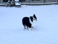 IMG_7953.jpg