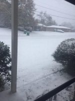 gulfport-21Jan25.jpg
