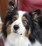 IMG_7104.jpg