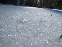 IMG_4390.jpg