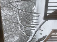 IMG_0189.jpg