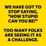 stupid challenge.jpg
