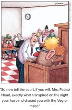 veg o matic.jpg
