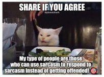 smudge sarcasm.jpg