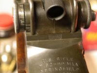 M1a.jpg