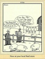 sheep store.jpg