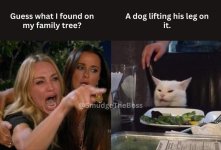 karen tree dog.jpg