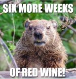 red wine.jpg