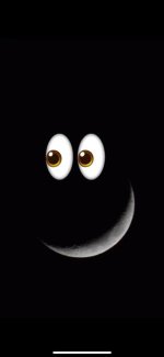 Moon eyes.jpg
