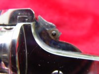 DSC00845.JPG