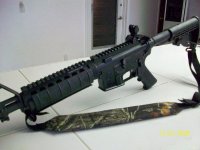 ar 15 which.jpg