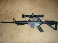 GUN_D.JPG