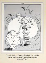 smoke alarm.jpg