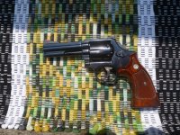 586-11.jpg