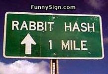 076_rabbit.jpg