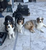 IMG_3908.jpeg