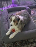 IMG_3910.jpeg