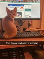 decoy-keyboard.jpg
