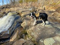 2025-02-17 Daisy 15.jpg