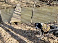 2025-02-17 Daisy 09.jpg