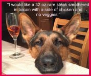 DOG.jpg
