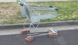 CART.jpg