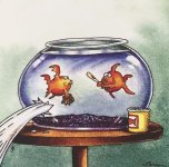 fish bowl.jpg