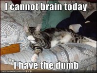 cannot-brain-today.jpg