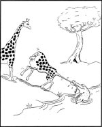 giraffe.jpg