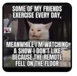 Smudge remote.jpg