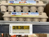 Eggs Feb.23.jpg
